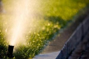 a Bethedsa Sprinkler Repair success story - a perfectly aimed sprinkler head
